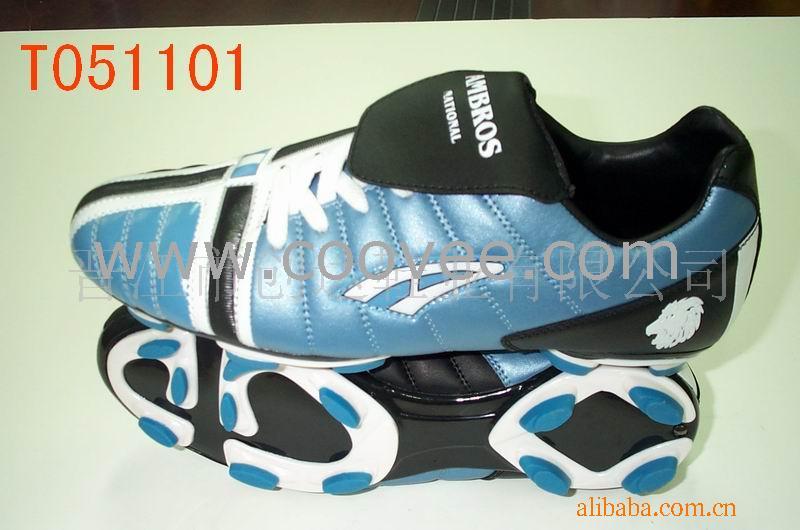 T051101Ь