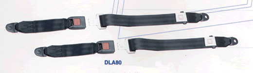 ȫ(DLA80)