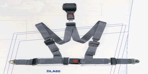 ȫ(DLA60)