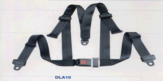 ȫ(DLA10)