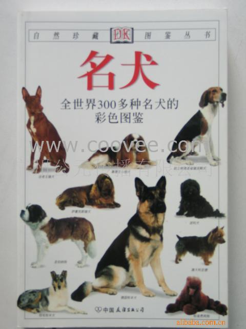 Ȯ--ͼش飨ɫ
