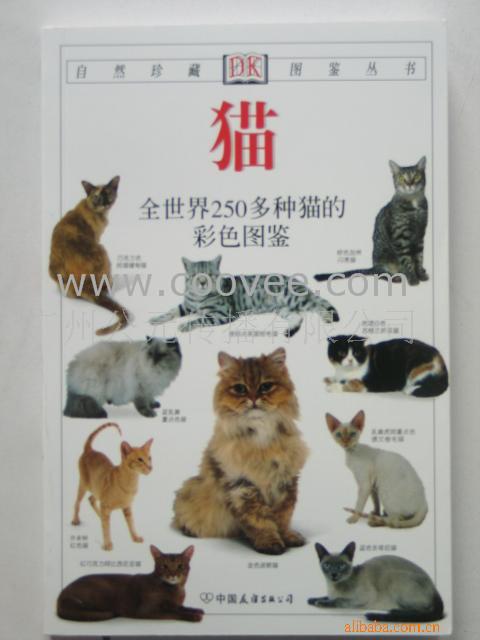 è--ͼش飨ɫ