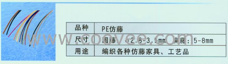 PE(018)