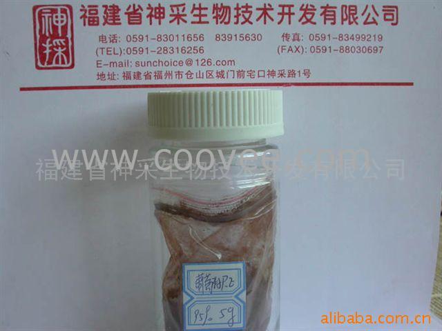 ѷ(sc-0202)