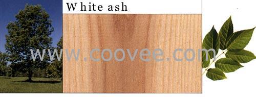 ˮ,WhiteAsh