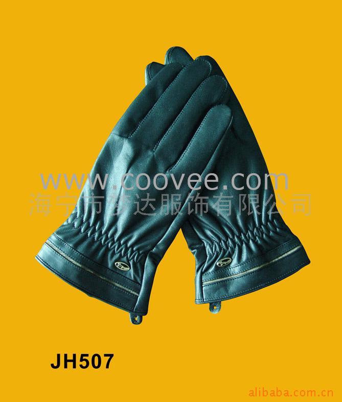 Ƥ(JH507)