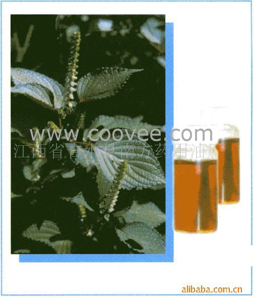红紫苏油(红紫苏油)