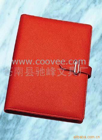 ʼǱ(cf-3010A(B))
