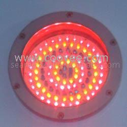 LED(SXF8041)