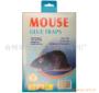 mouseglueճ