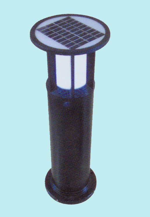 ̫ܲƺ(CCDT-003)