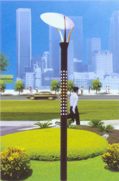 ͥԺ(CCDT-203)