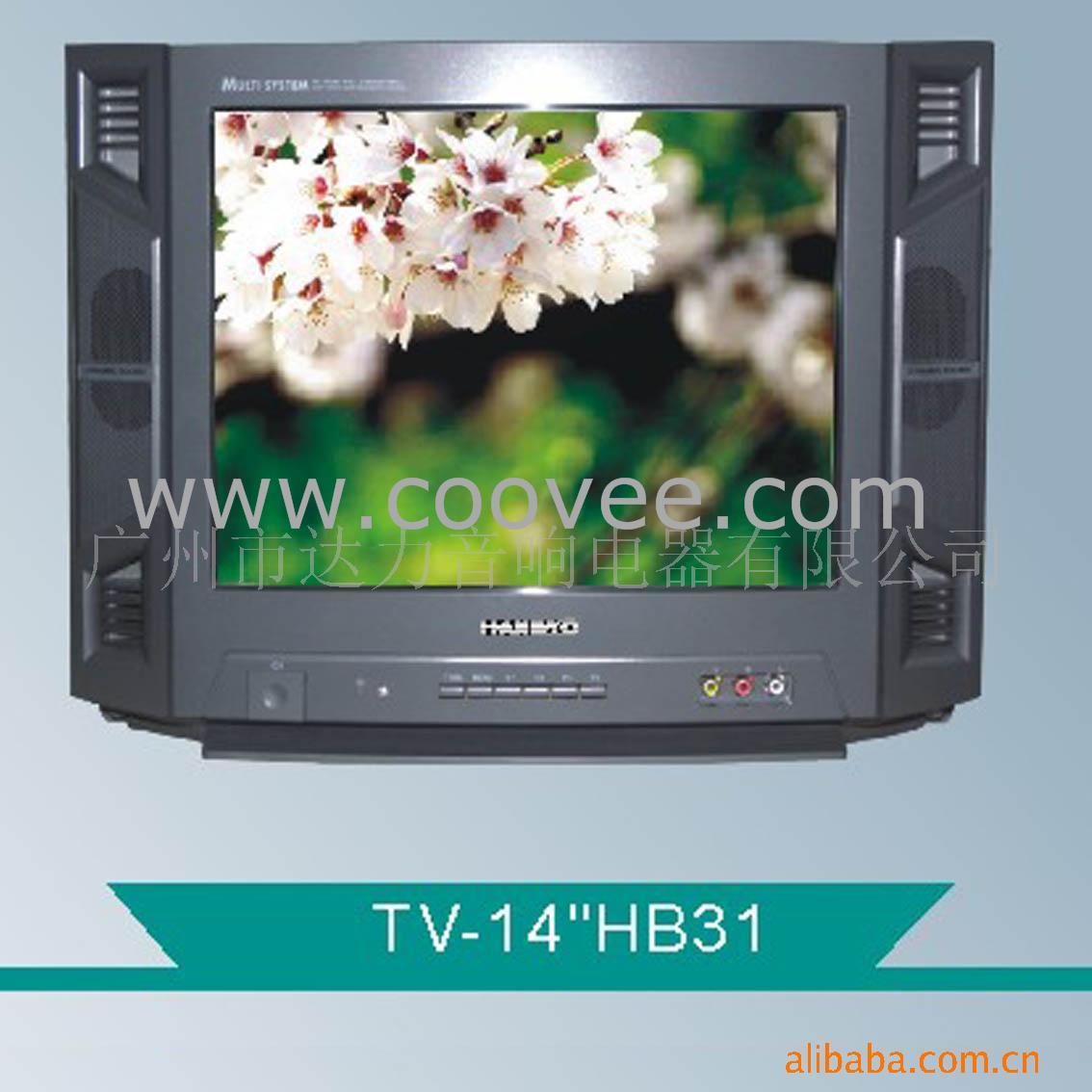 ɫӻ(TV-14¨HB31)