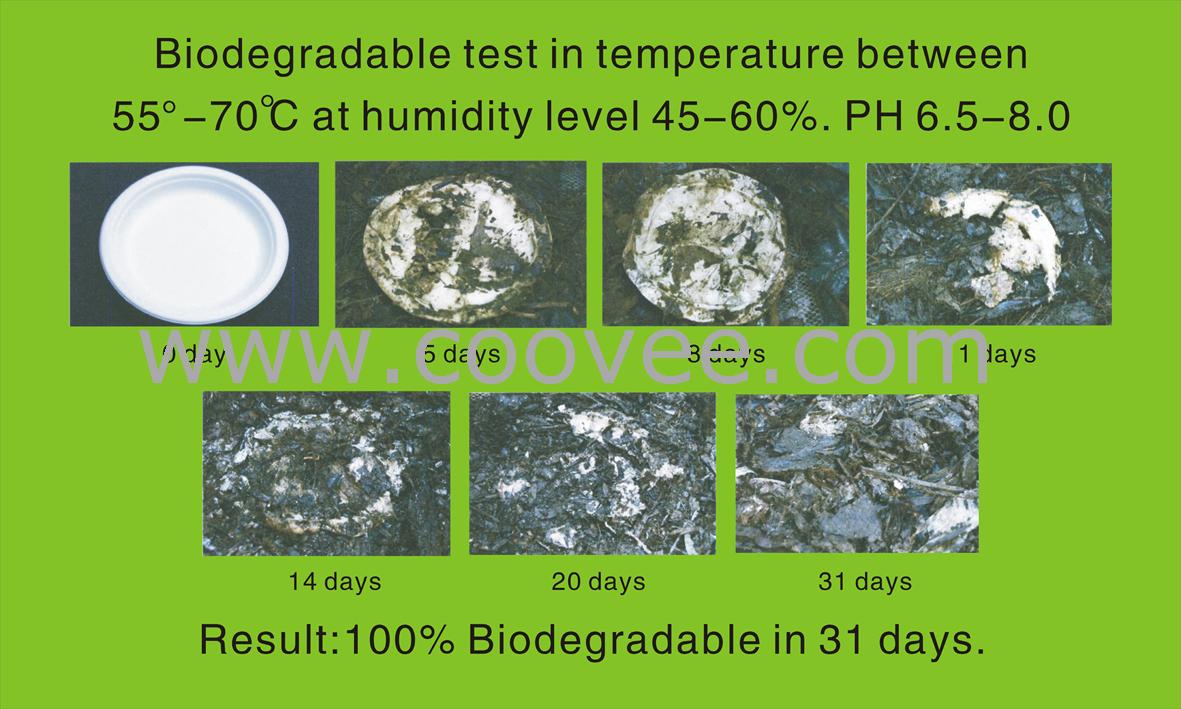 10(P005)