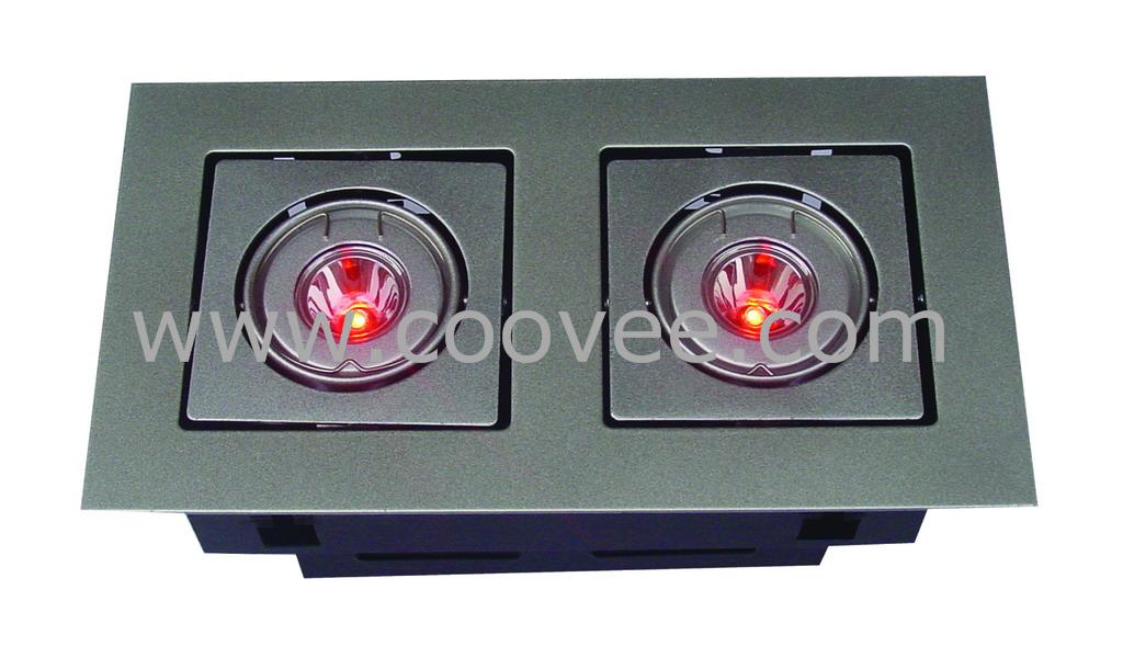 LED(D2021)