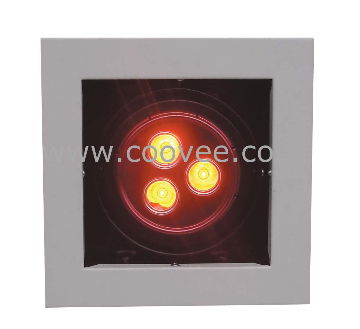 LED(D1031A)