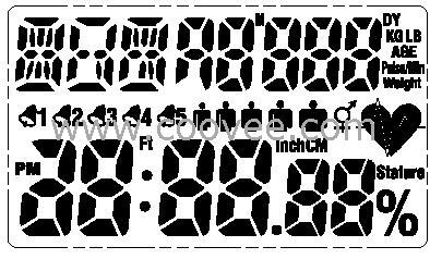 ʽ֬IC