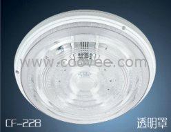 (ODC-21W)