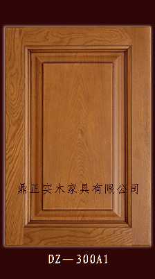 ʵľŰ(DZ300A1)