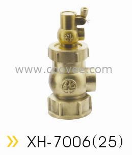 (XH-7006(25))