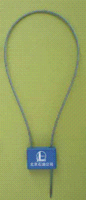 ʩ(H065)