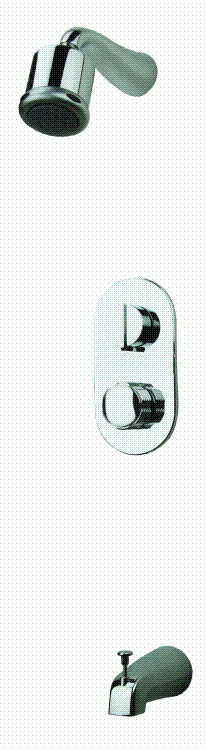 ˮͷ(TPAA-02)