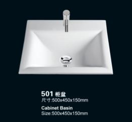 501(501)