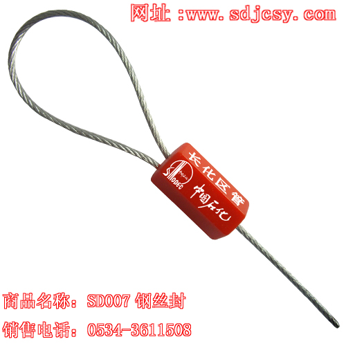 ʩ(63)