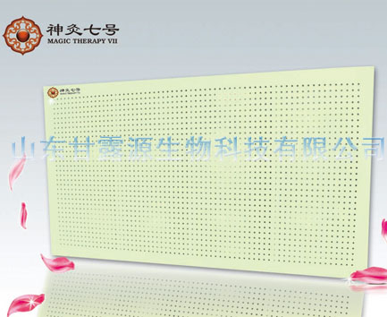 电暖器,取暖器,暖器,电热板暖器,电热壁画,碳纤维电暖器