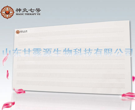 电暖器,取暖器,暖器,电热板暖器,电热壁画,碳纤维电暖器