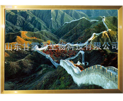电暖器,取暖器,暖器,电热板暖器,电热壁画,碳纤维电暖器