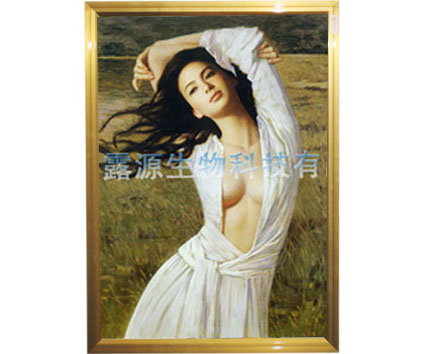 电暖器,取暖器,暖器,电热板暖器,电热壁画,碳纤维电暖器