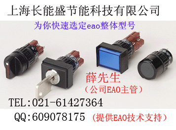 eao52ϵؼ