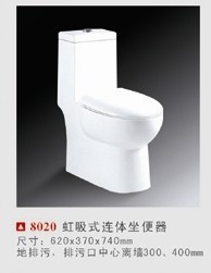 ԡ(8020)