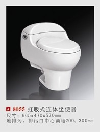 ԡ(8055)