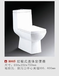 ԡ(8005)