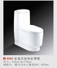 ԡ(8002)