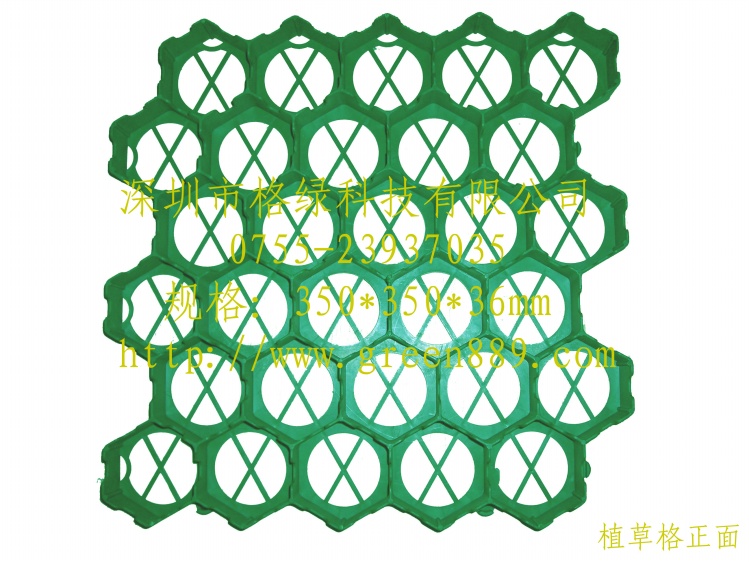 ֲݸ(gl-z36)