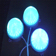 LEDԴ(DH-9)