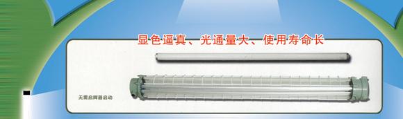 (T8T12)