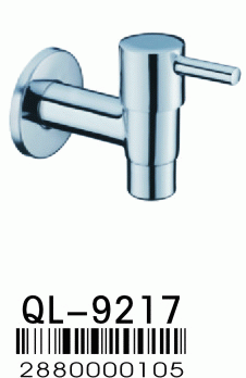 Ƿˮͷ(9217)