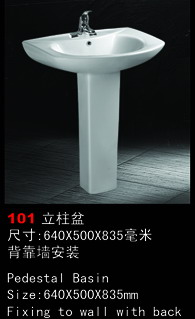 (101)