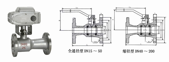 һʽ綯