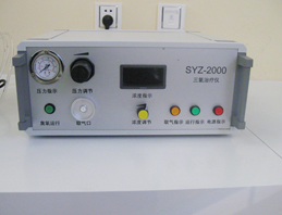 -ЯʽSYZ-2000