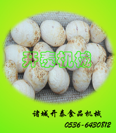 Ƥ(KTϵ)