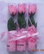 肥皂花soapflower