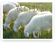 2010¸Ŀ۸ɽũţֳ