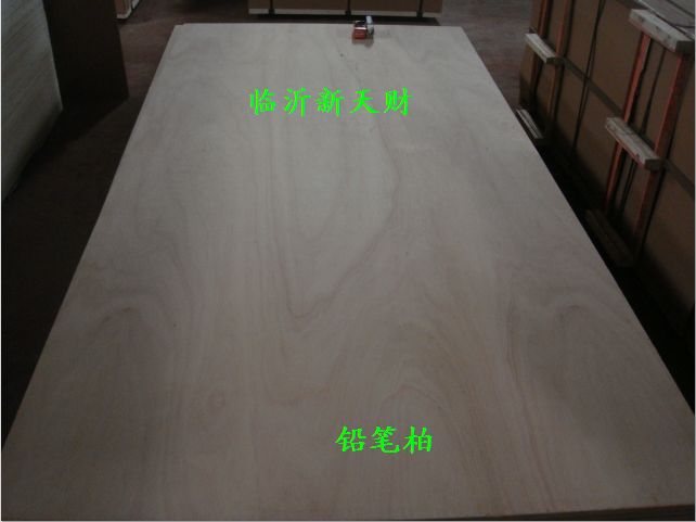 CARBP1/P2Ǧʰ潺ϰ