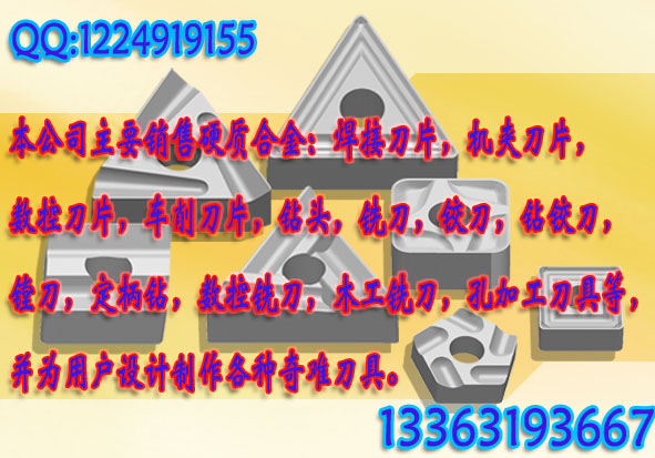 3130511ӲϽƬ
