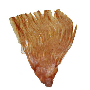˿(5000)
